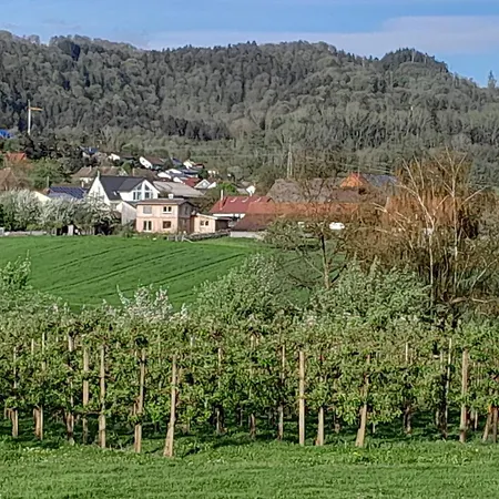 Prázdninový dům Laendlicher Oeko-flair Im Strohhaus