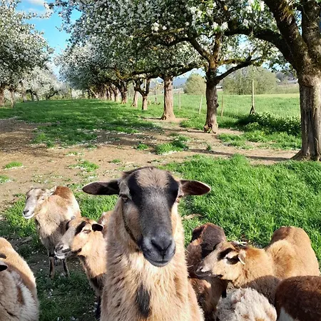 Laendlicher Oeko-flair Im Strohhaus Сasa de vacaciones *