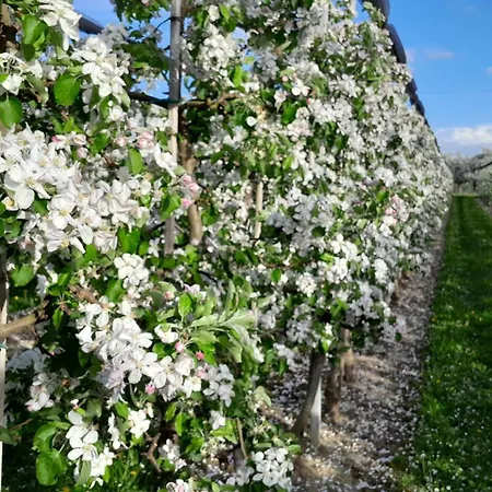Сasa de vacaciones Laendlicher Oeko-flair Im Strohhaus *
